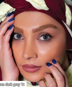 خرید لنز رنگی آرین دارک گری تن1
