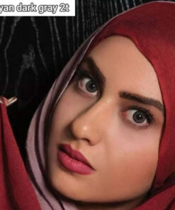 خرید لنز رنگی آرین دارک گری تن2