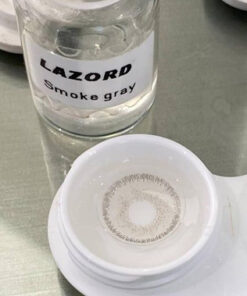 Lazord smoke gray lens