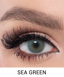 Elamore sea green lens