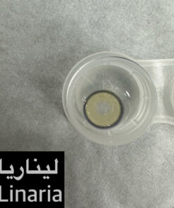 خرید لنز رنگی روزانه یونیک لیناریا