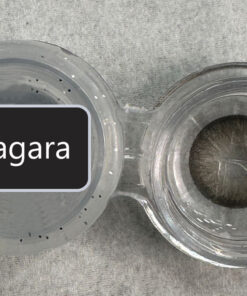 خرید لنز برند یونیک نیاگارا